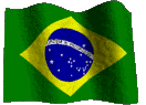 brazil_flag.gif (32163 Byte)