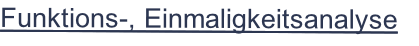 Funktions-, Einmaligkeitsanalyse